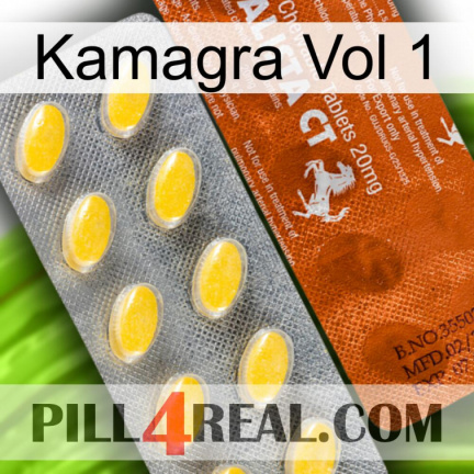 Kamagra Vol 1 42
